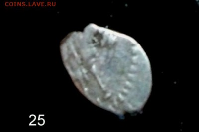 Помощь в определении чешуек - 25...JPG