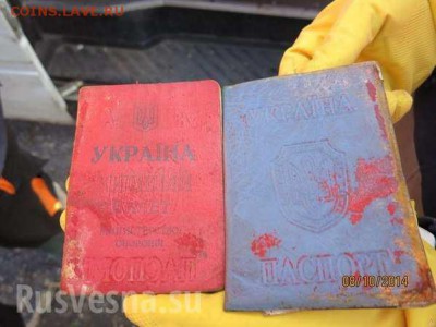 Ну а теперь про Украину - 240