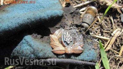Ну а теперь про Украину - 241