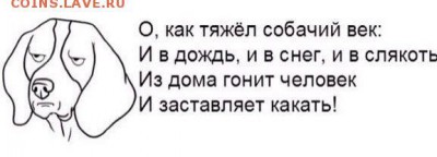 Любите ли вы кошек? - image