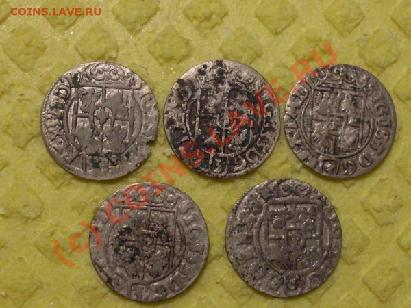 полторак Сигизмунда 5шт 1621 22 23 24и32ггдо25.04.10 22-00мс - SDC12250.JPG