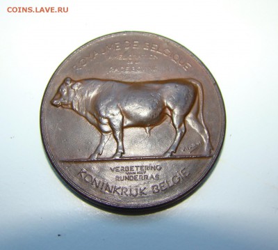 Настольные Медали 19-20 в. Германия, Россия Австрия, Франция - DSC02302.JPG