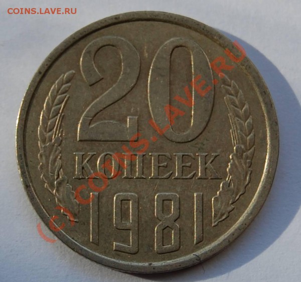 20к-1982. Хребет или ...? - 20k-1981_R