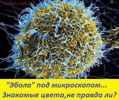 Ну а теперь про Украину - a88f42574069