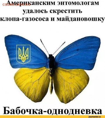 Ну а теперь про Украину - Я-ватник-политика-песочница-политоты-1611805