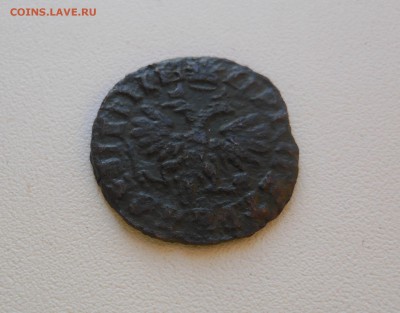 Денга 1713 Петр I в сохране до 29.10.2014 г. в 23.00 мск - DSCN7174