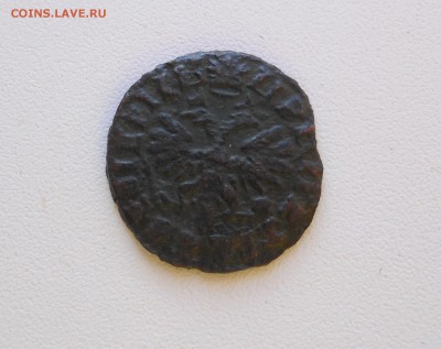 Денга 1713 Петр I в сохране до 29.10.2014 г. в 23.00 мск - DSCN7173