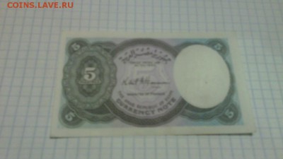 Египед 5 - IMG_20141023_224035