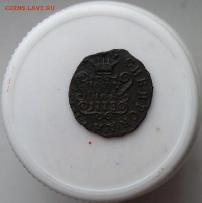 полушка 1778 сибирка до 27.10 - P1090377.JPG
