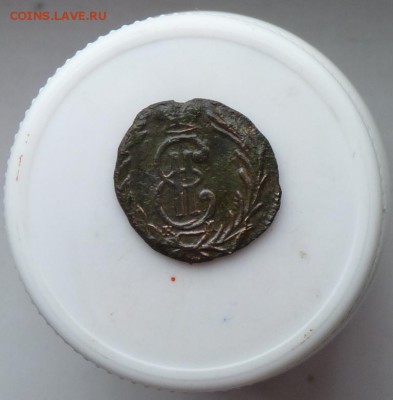 Полушка сибирка 1768 до 27.10 - P1090388.JPG