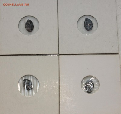 Оценка чешуек - 004.JPG