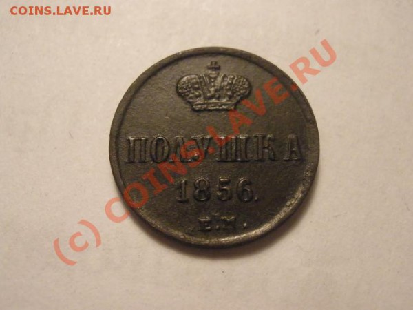 Полушка 1856г., оценка - P4231716.JPG