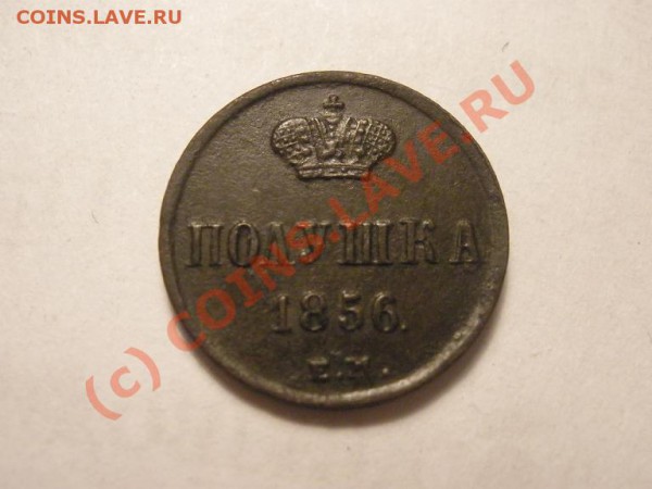 Полушка 1856г., оценка - P4231715.JPG
