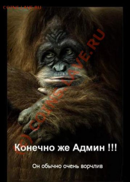 юмор - 2
