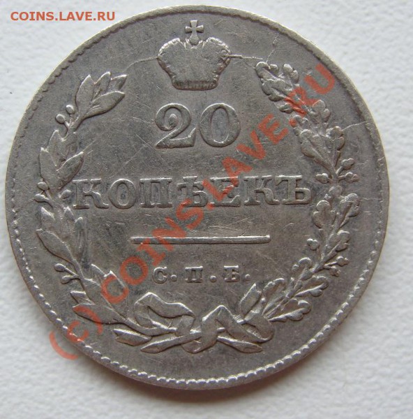 20 копеек 1831 г. спб-нг.Открытая 2 - DSC03589.JPG