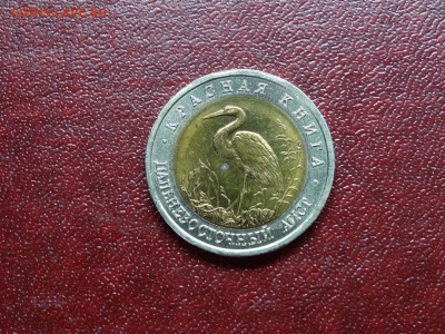 КК 50р 1993 Аист до 30.10 22:00 МСК - DSC05434.JPG