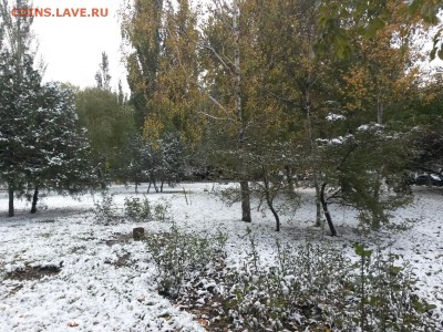 перекличка городов по температуре - 20141026_102042