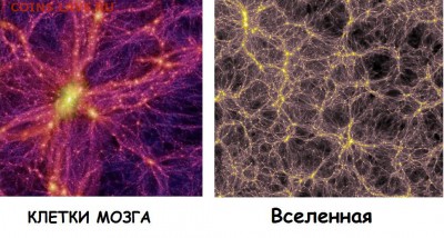 Забавное сходство. - Безымянный