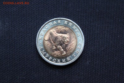 Красная Книга 1992 АМУРСКИЙ ТИГР До 31.10.14 в 23-00 - IMG_5324.JPG