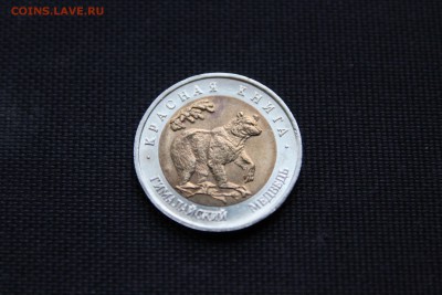 Красная Книга 1993 ГИМАЛАЙСКИЙ МЕДВЕДЬ До 31.10.14 в 23-00 - IMG_5331.JPG