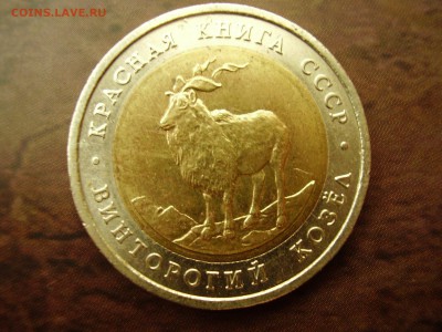 К.К. 5 рублей 1991 года "Винторогий козел" до 1.11.2014 - P8070007.JPG