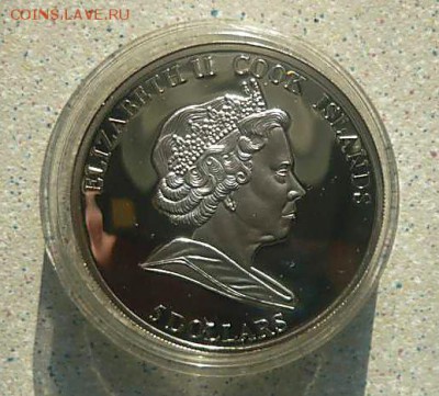 Феррари F2008, вставка из карбона, 2008 год, в футляре - P1180813_thumb