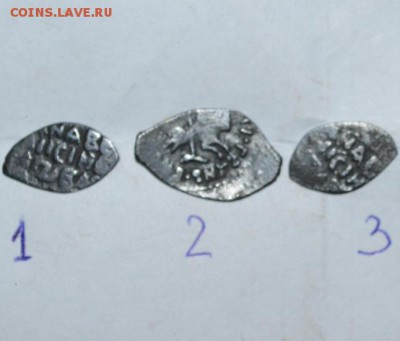 чешуйки на определение и оценку - DSC_1484.JPG