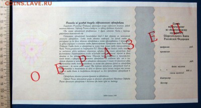 Сертификат-образец6 до29.10 в 22.00 мск. - 16.JPG