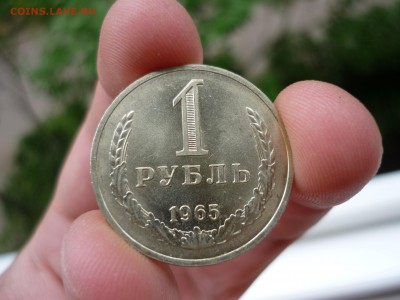 1р1965 - P1050991.JPG
