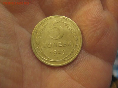 5 копеек 1929 ---------------- 2.11.14, в 22.10 - IMG_0024.JPG