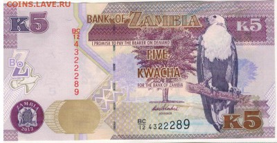 Замбия 5 квача 2012 до 03.11.14 в 22.00мск (А116) - 1-зам5-2012а