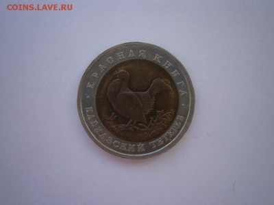 КК Кавказский тетерев 1993г. до 31.10.14 22.00 мск - PA280001.JPG