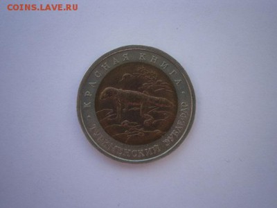 КК Туркменский зублефар 1993г. до 31.10.2014 22.00 мск - PA280003.JPG