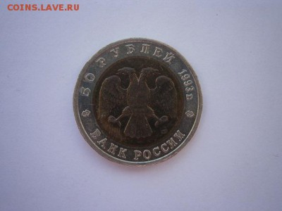 КК Гималайский медведь 1993г.31.10.2014 22.00 мск - PA280006.JPG