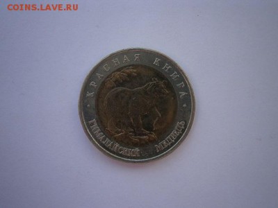 КК Гималайский медведь 1993г.31.10.2014 22.00 мск - PA280005.JPG