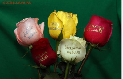 Комплект Арт Фломастер для нанесения надписей на живые цветы - 15.JPG