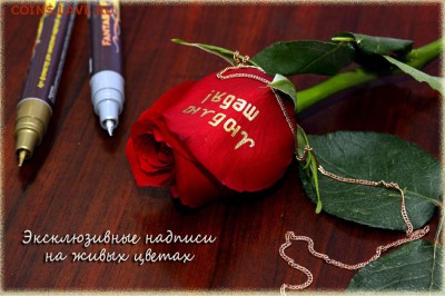 Комплект Арт Фломастер для нанесения надписей на живые цветы - 12.JPG