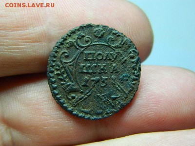 полушка 1731г перечекан - DSCN6905[1].JPG