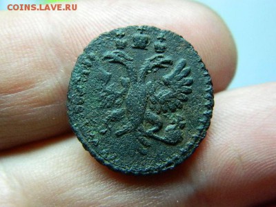 полушка 1731г перечекан - DSCN6906[1].JPG