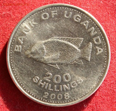 С рубля УГАНДА 20 шиллингов 2008г. РЫБА до 4.11.14г.в 22-00 - IMG_2148.JPG