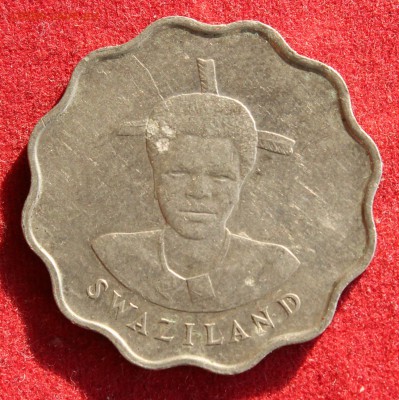 С рубля СВАЗИЛЕНД 20с 1986г. СЛОН,ВОЛНИСТАЯ до 4.11.14г. - IMG_2171.JPG