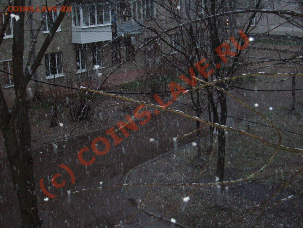 перекличка городов по температуре - снег