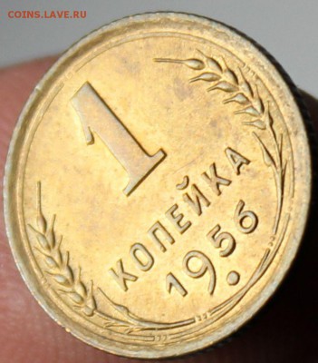 1 копейка 1956 года АНЦ   до 2-11-14 до 22-10 мск. - 1956 .JPG