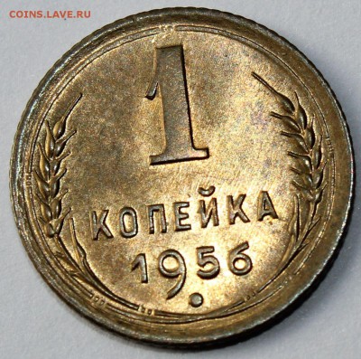 1 копейка 1956 года АНЦ   до 2-11-14 до 22-10 мск. - 1956 .JPG