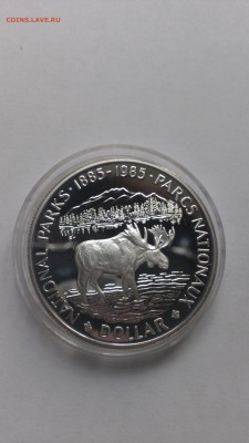 Канада 1 доллар 1985 год Лось до 2.11 - IMAG1440