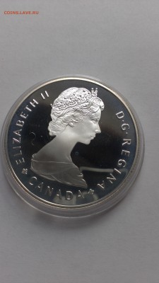 Канада 1 доллар 1985 год Лось до 2.11 - IMAG1441