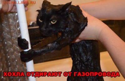 Ну а теперь про Украину - Orhf9LR01t4