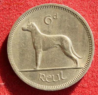 С рубля ИРЛАНДИЯ 6 пенсов 1968г. СОБАКА до 6.11.14г. в 22-00 - IMG_2173.JPG