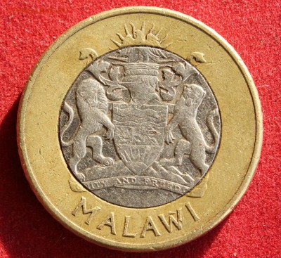 С рубля ФАО БМ МАЛАВИ 10 квача 2006г. до 6.11.14г. в 22-00 - IMG_2176.JPG