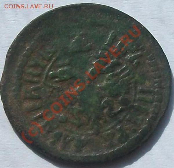 полушка 1703 Ильин 3 р, Биткин R1, до 30.04.10 21-00 МСК - 100_4687.JPG
